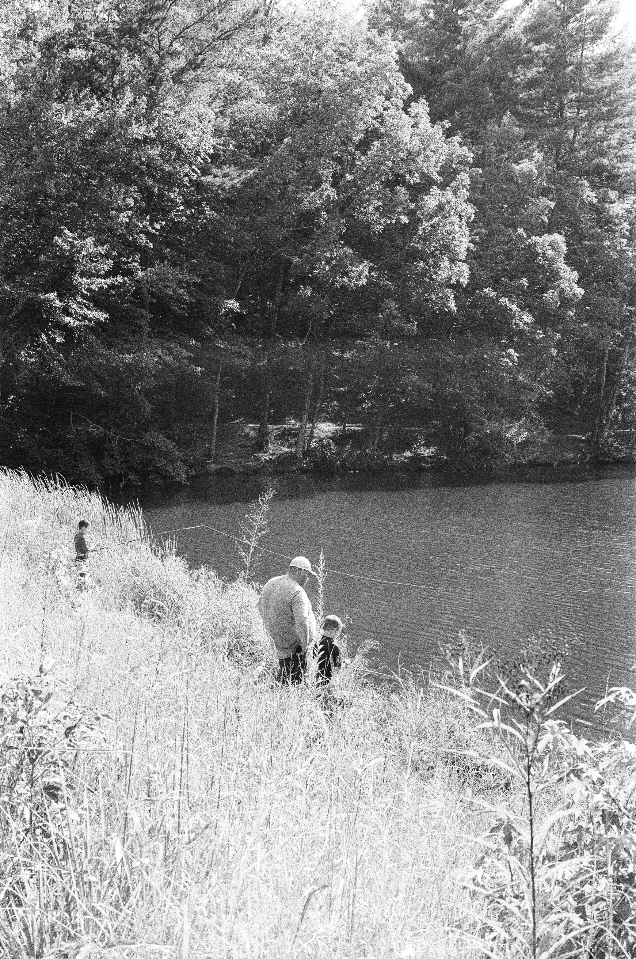 grayscale photo of a dog on grass field near body of water