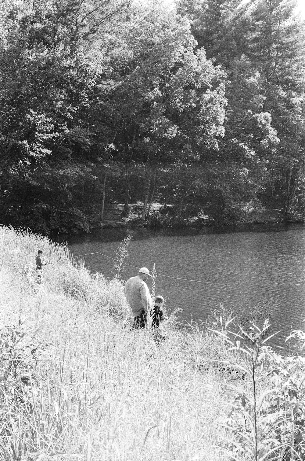 grayscale photo of a dog on grass field near body of water