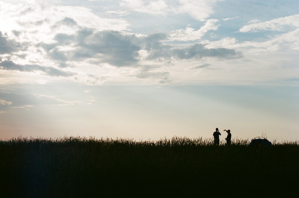silhouette of 2 person standing on grass field under white clouds and blue sky during daytime