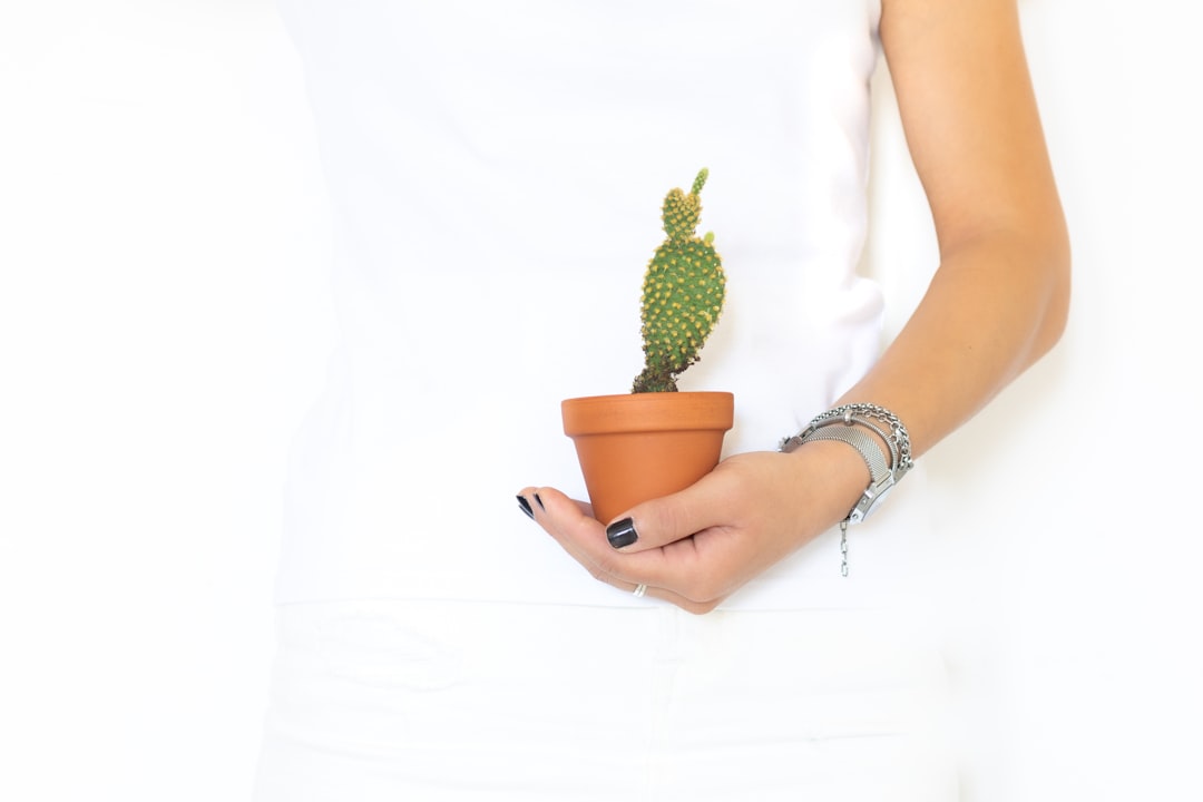 woman in white dress holding green cactus plant
