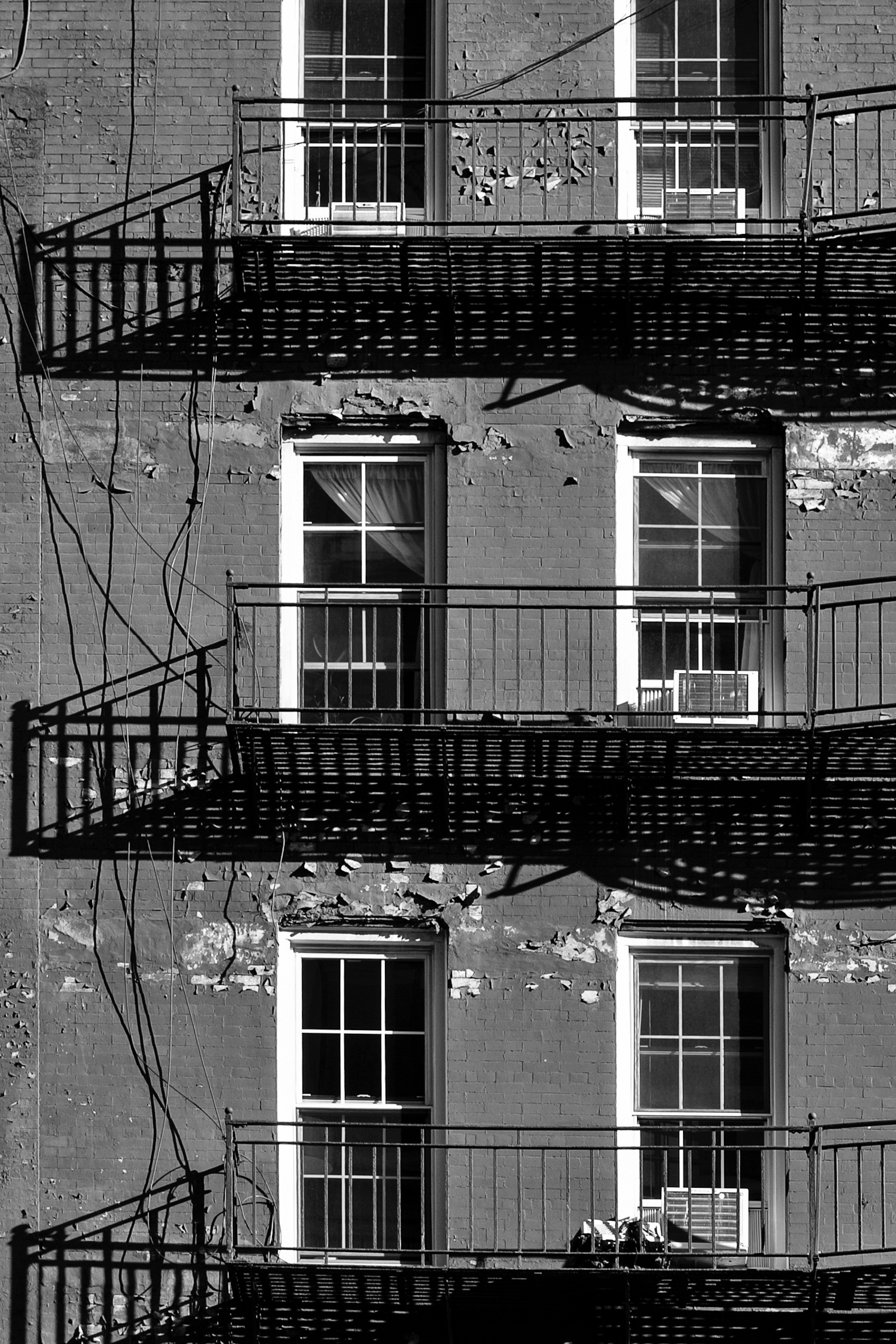 Photo by clayleconey