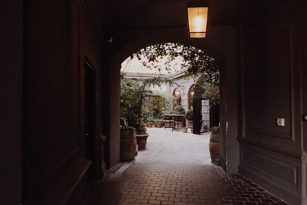 brown brick pathway with green trees