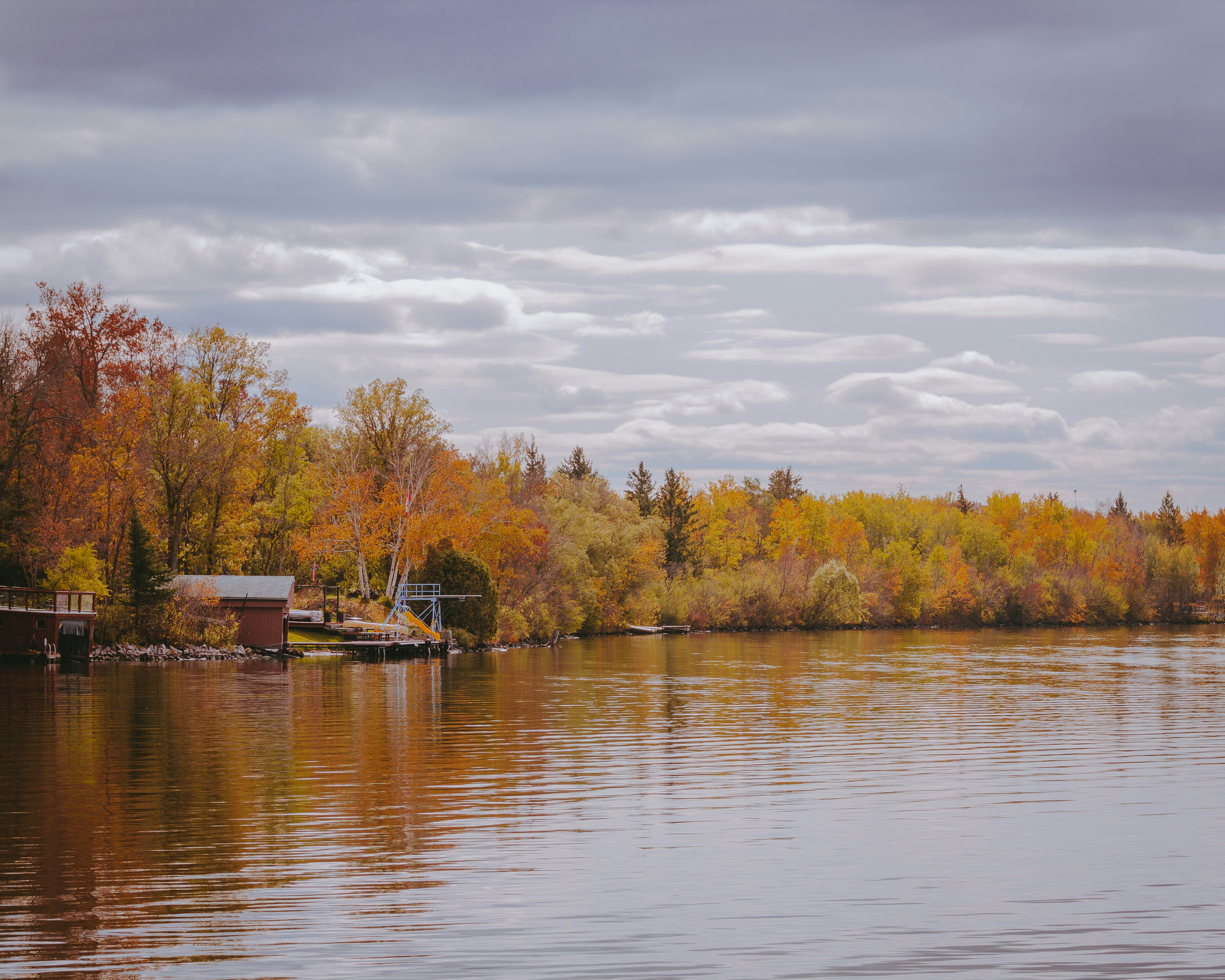brown wooden dock on lake surrounded by green trees under white clouds and blue sky during