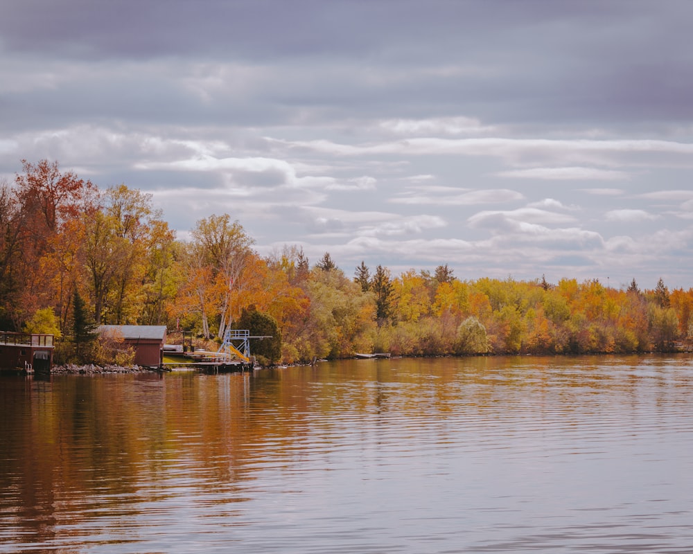 brown wooden dock on lake surrounded by green trees under white clouds and blue sky during