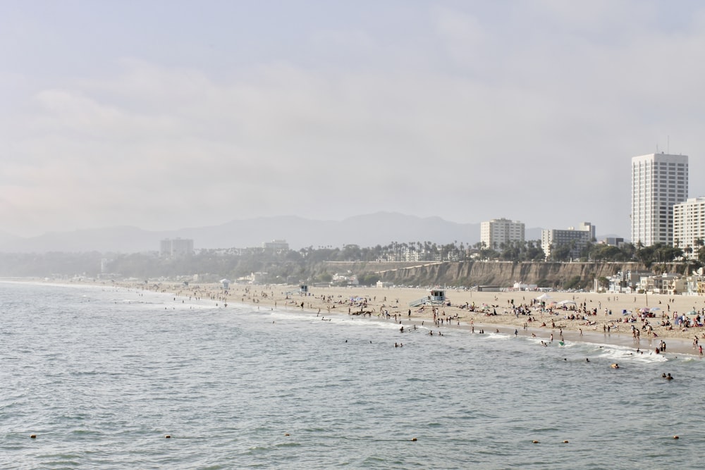 people on beach during daytime