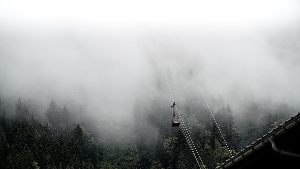 white and red cable car over green trees covered with fog