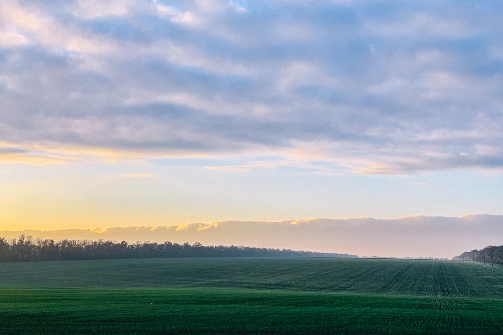 green grass field under cloudy sky during daytime