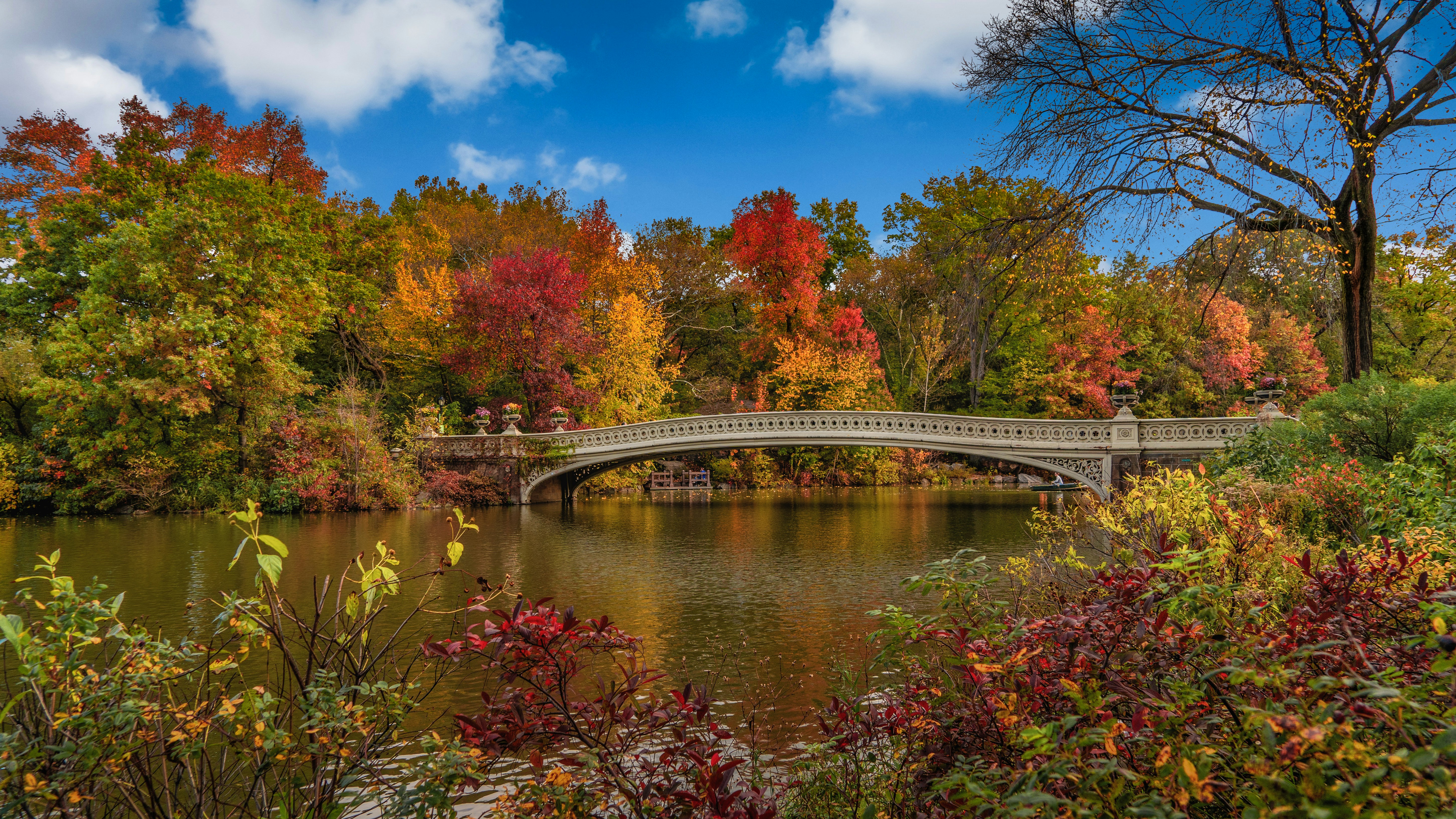 Bow Bridge en Central Park, Nueva York