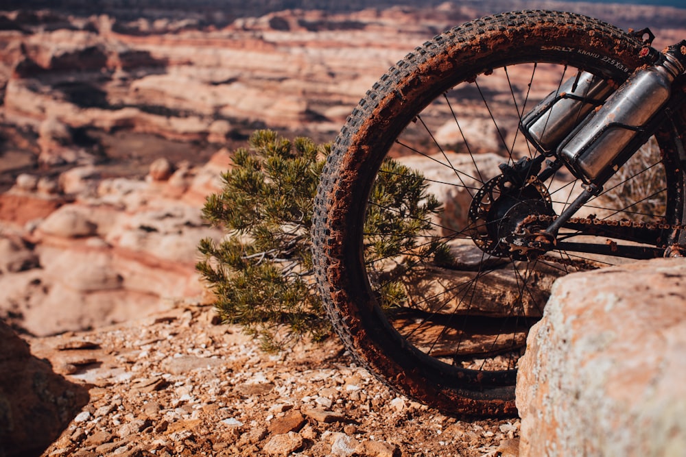 black bicycle wheel on brown dirt ground