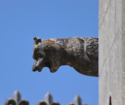 silver horse figurine on white wooden fence during daytime art noveau teams background