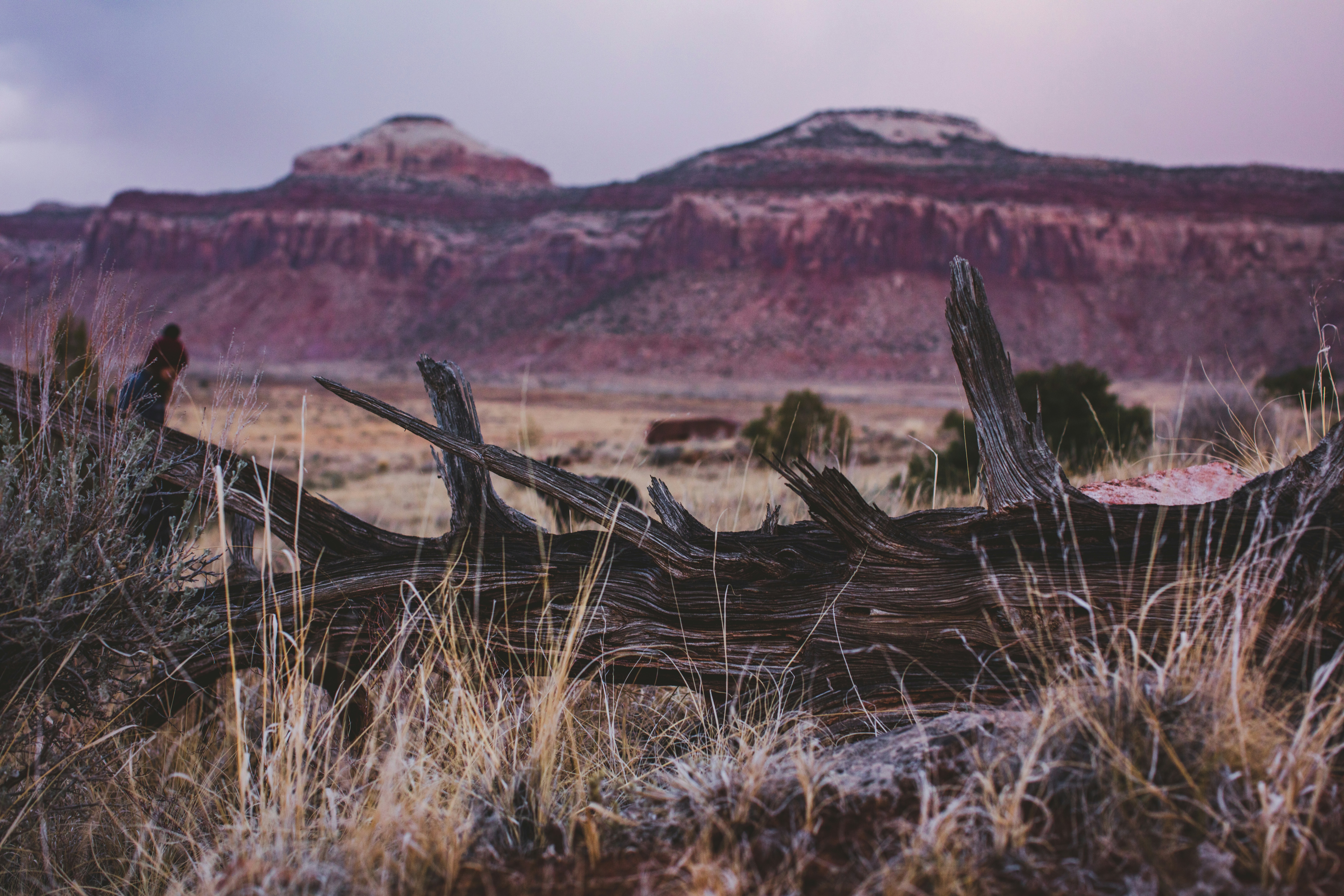 Photo by worldsbetweenlines