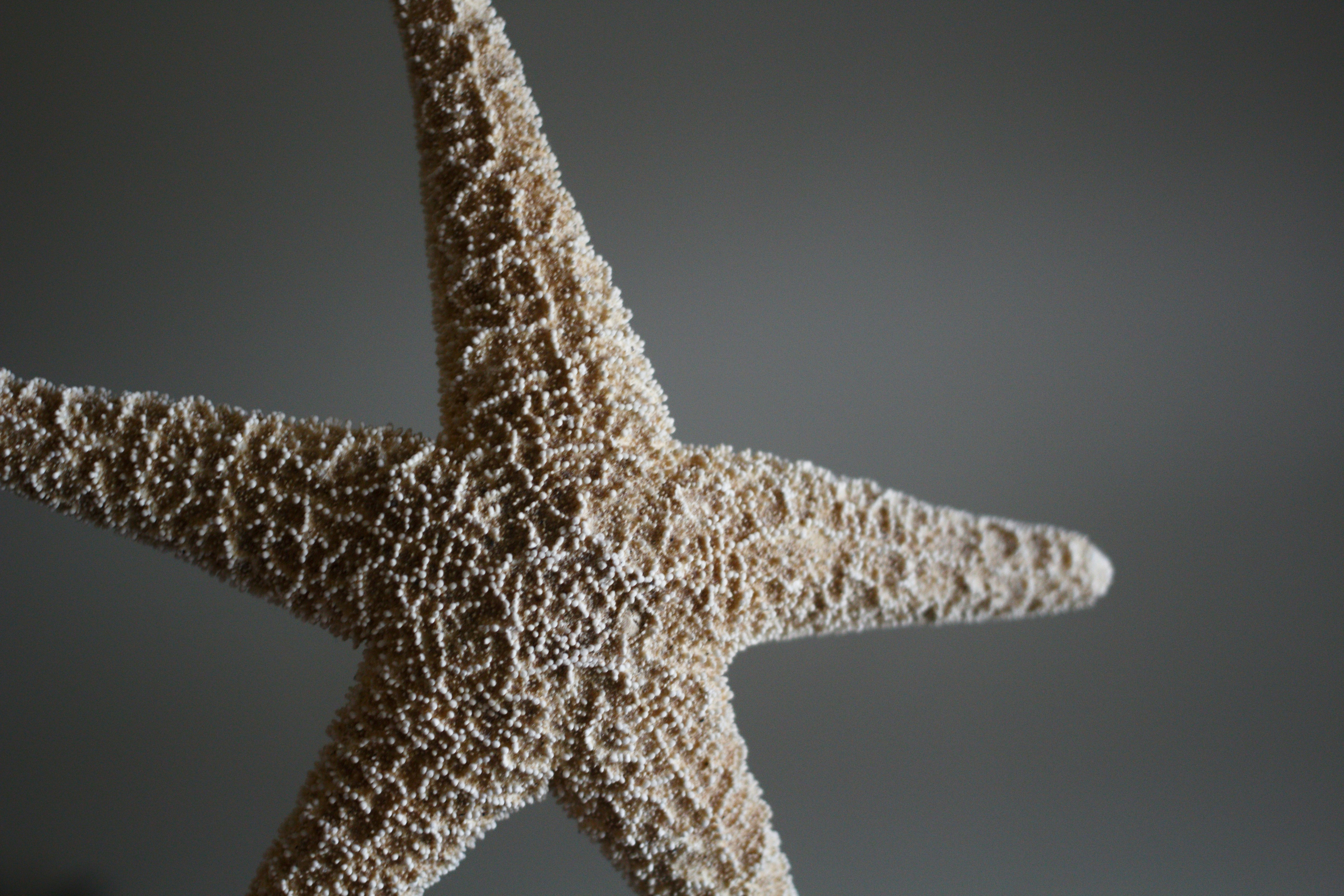 Photo by joshua_hoehne