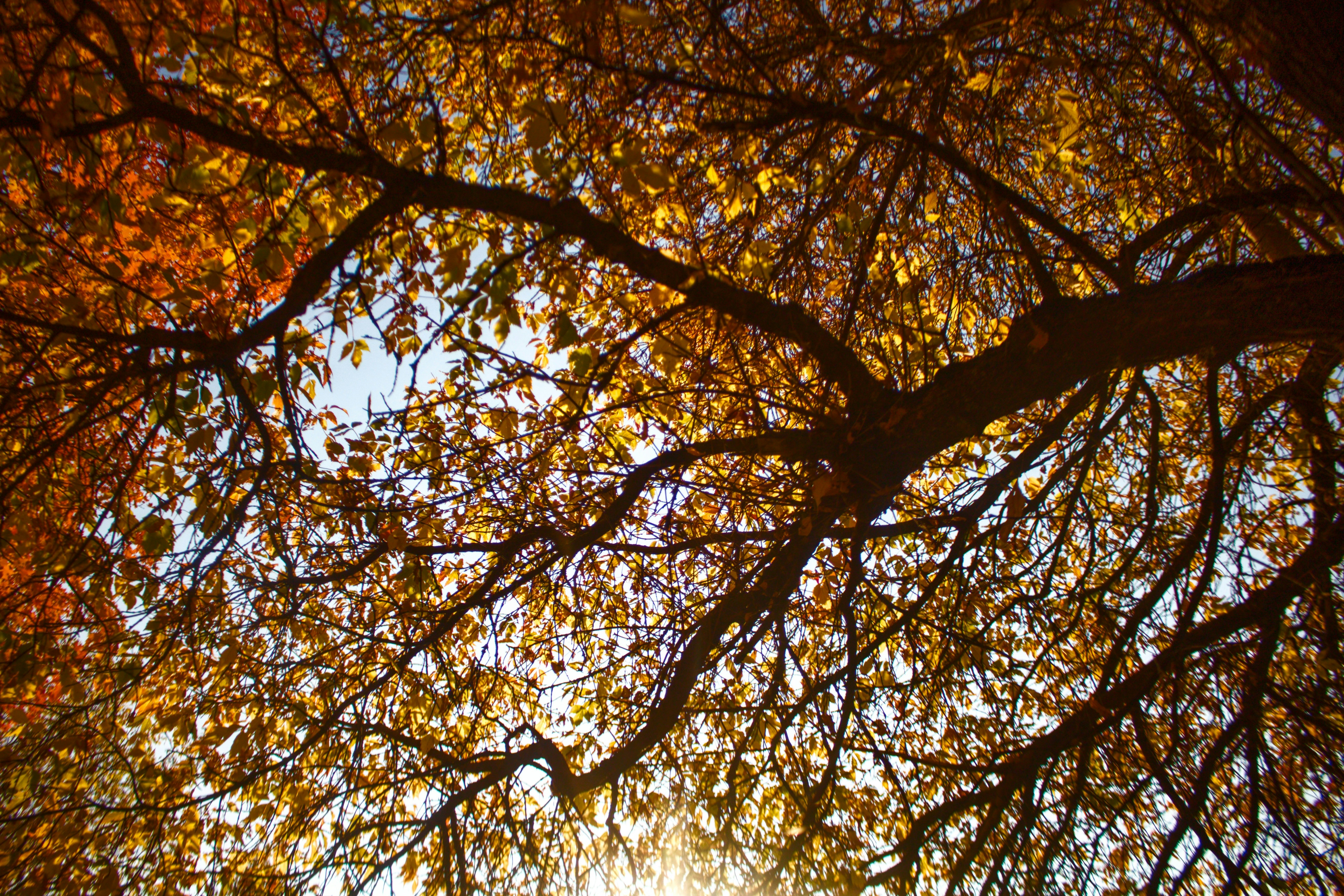 Photo by joshua_hoehne