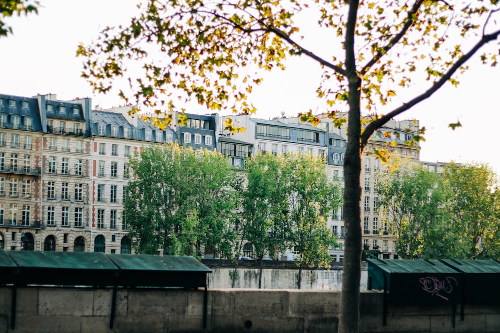 white concrete building near green trees during daytime