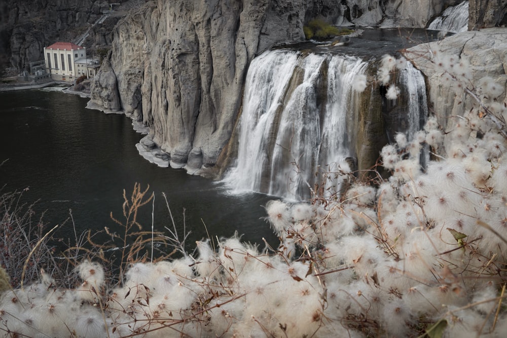 brown grass on rocky mountain beside river during daytime