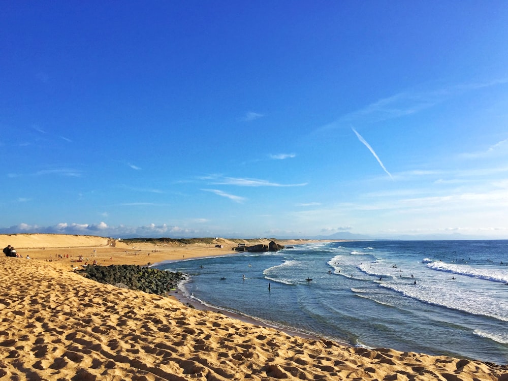 pessoas na praia durante o dia