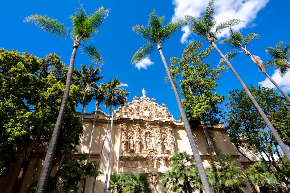 palm trees near white concrete building under blue sky during daytime