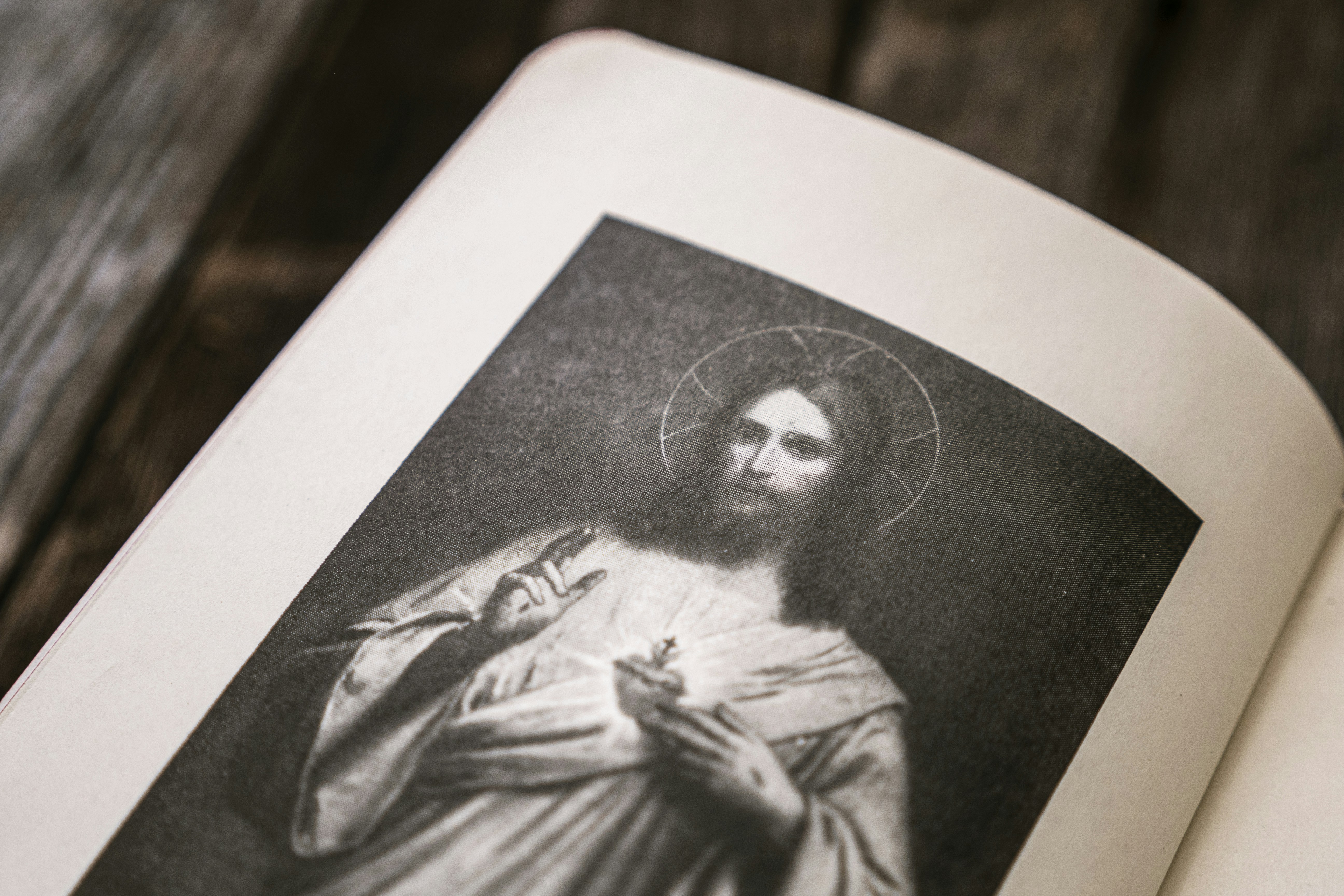 photo-1605141377443-114a21a8b22f?ixid=M3wxMjA3fDB8MXxzZWFyY2h8MjB8fG5ldy5qZXN1c2FjdGlvbi5vcmd8ZW58MHx8fHwxNzU4NTEwMDIxfDA\u0026ixlib=rb-4.1.0