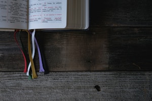 Phoenix Journal