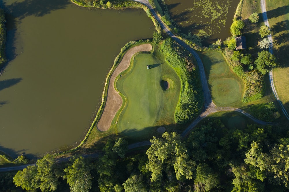 aerial view of green trees and river