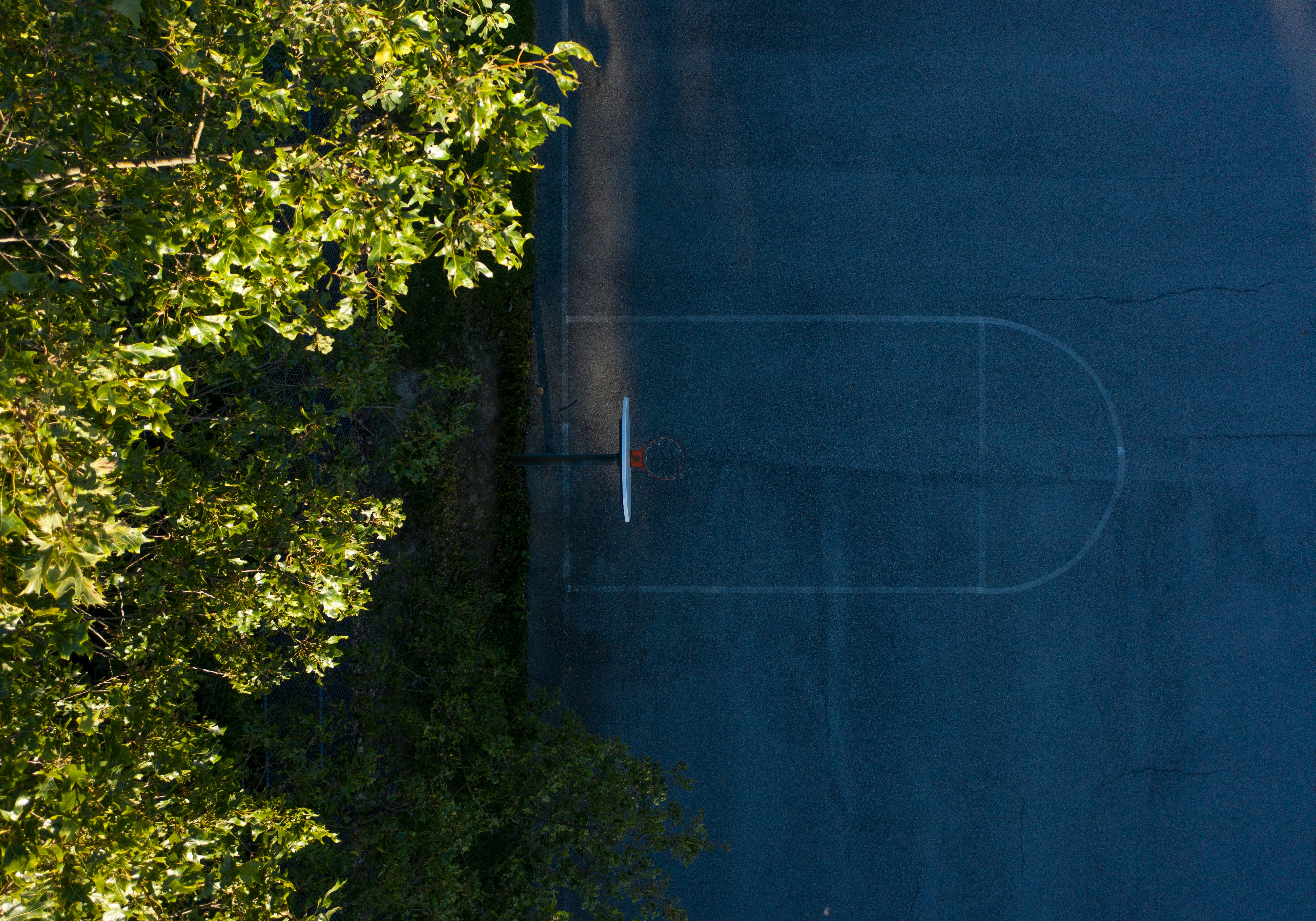 Basketball court with green trees