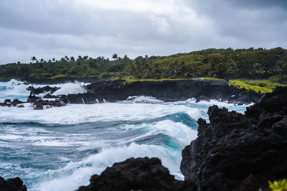 green trees beside sea waves during daytime