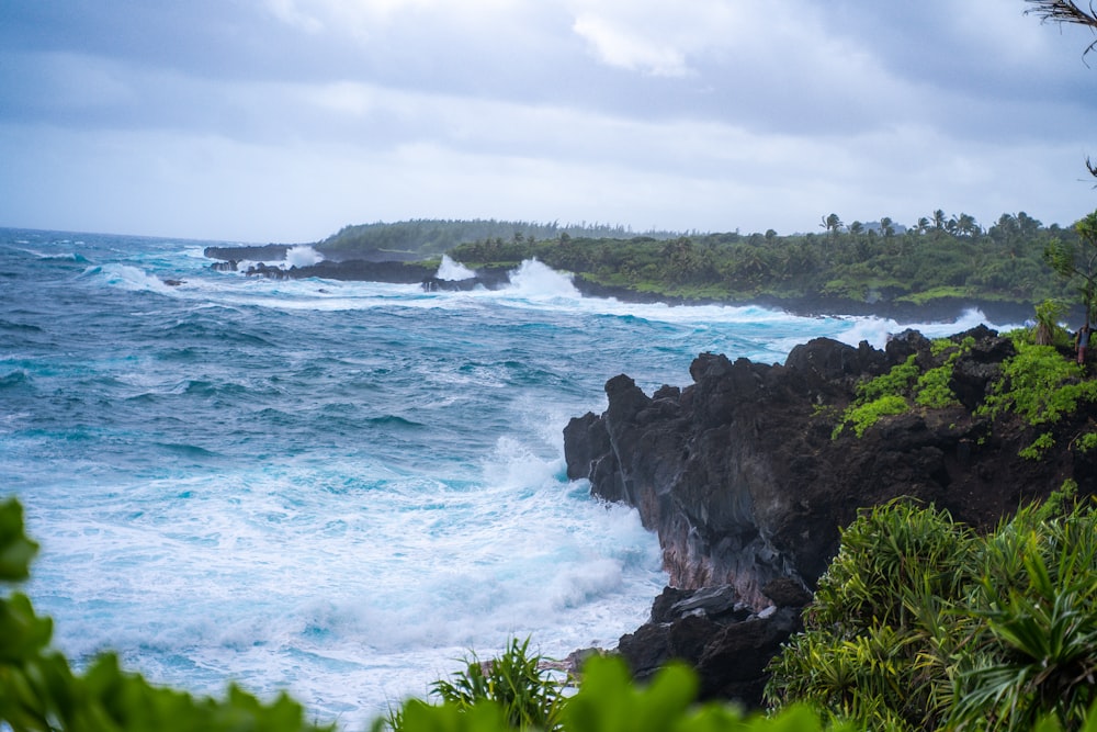 green trees on rocky shore by the sea under white cloudy sky during daytime