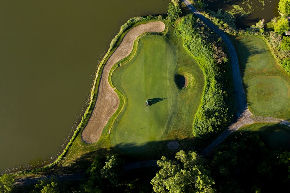 aerial view of green trees and body of water