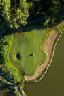 aerial view of green trees beside river during daytime