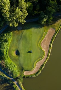 aerial view of green trees beside river during daytime