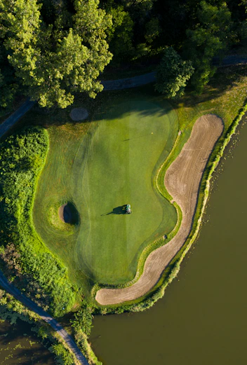 aerial view of green trees beside river during daytime
