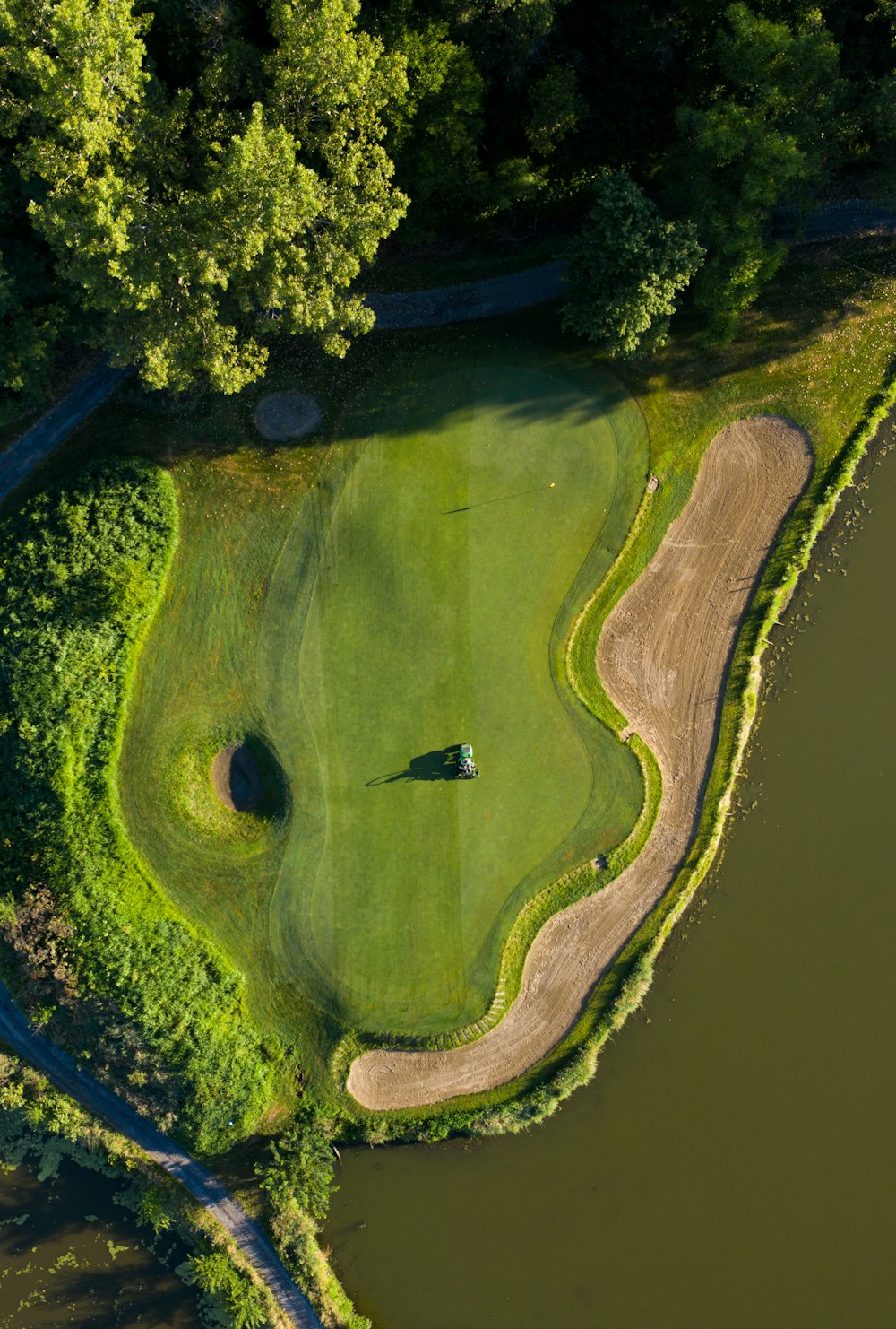 aerial view of green trees beside river during daytime