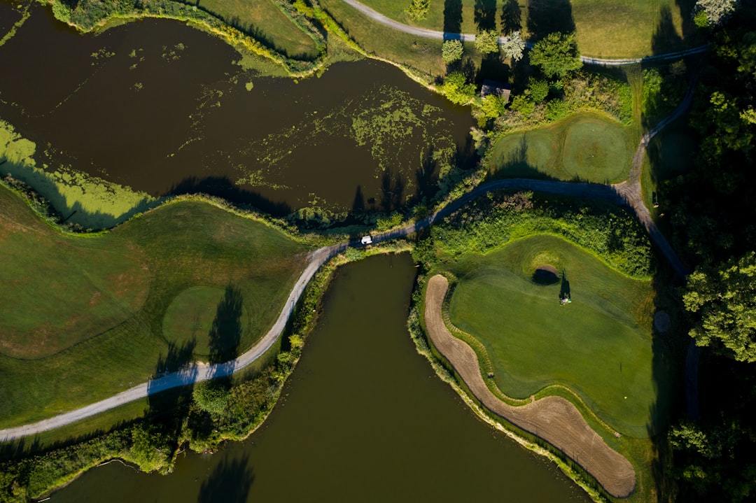 aerial view of green grass field