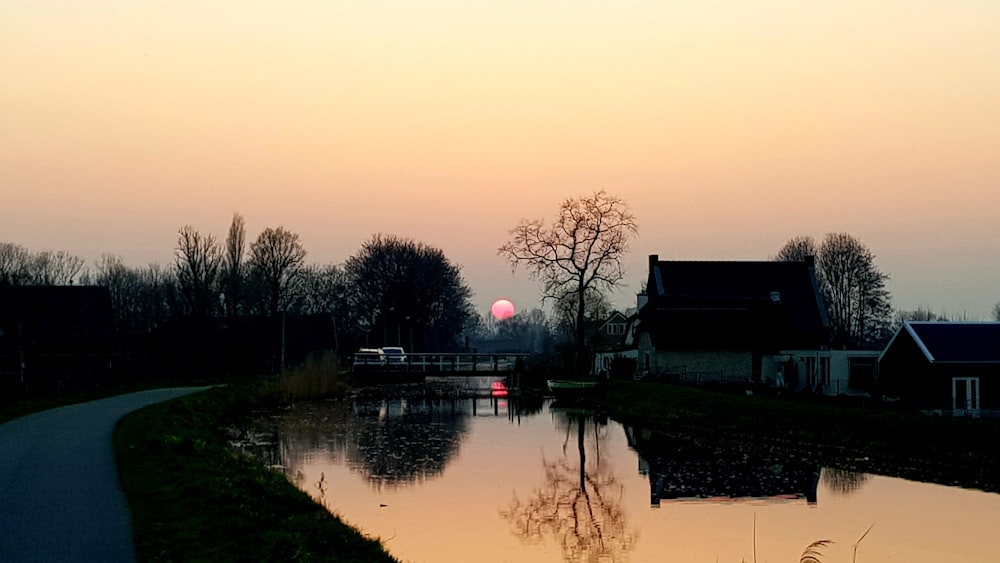 silhouette of trees beside body of water during sunset