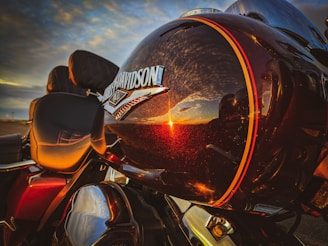 Close-up of a gleaming Harley Davidson motorcycle tank reflecting sunlight.