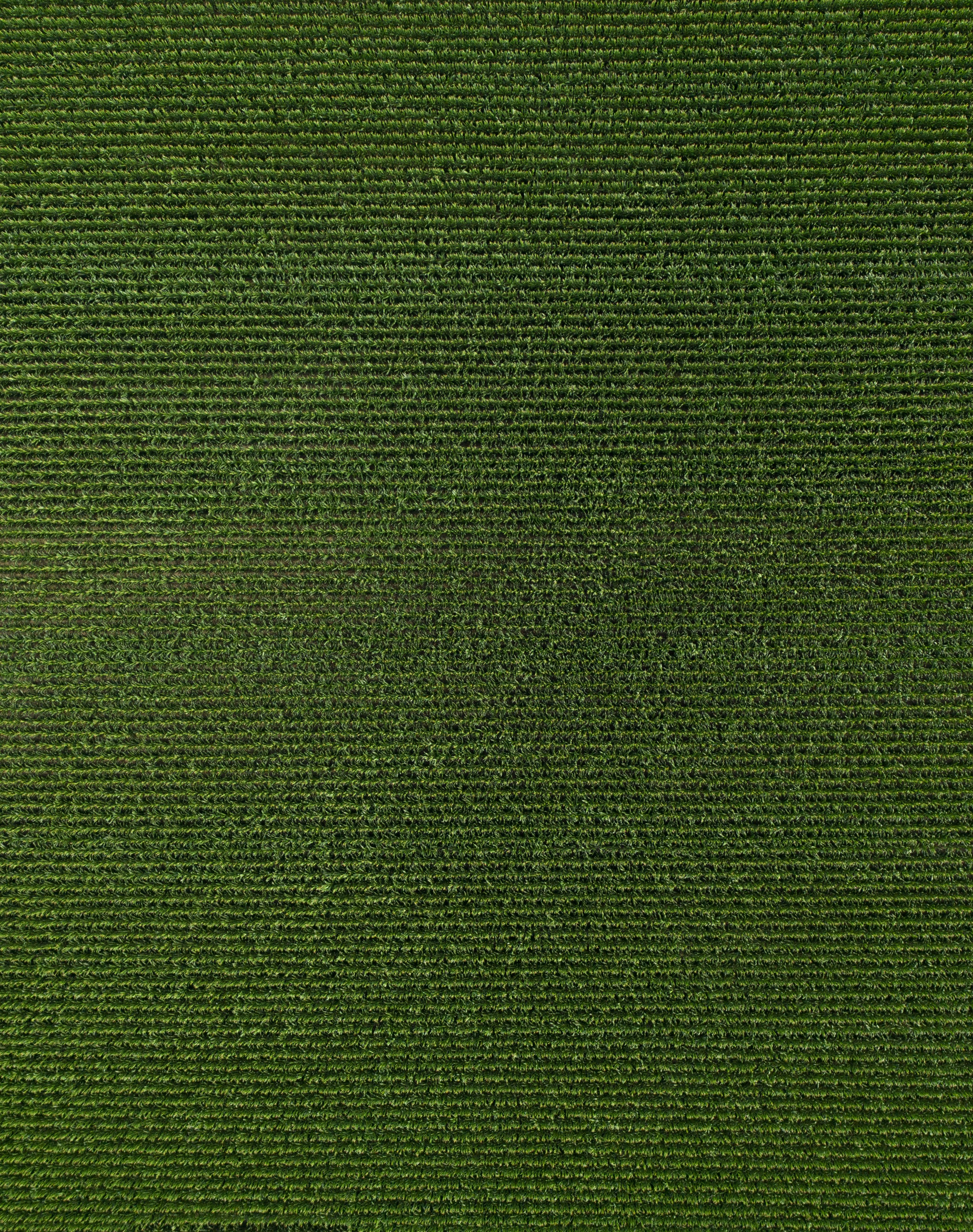 Photo by ________________1a