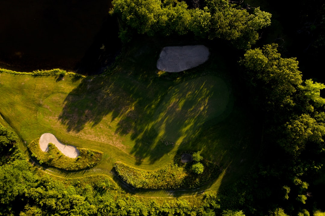 aerial view of green grass field