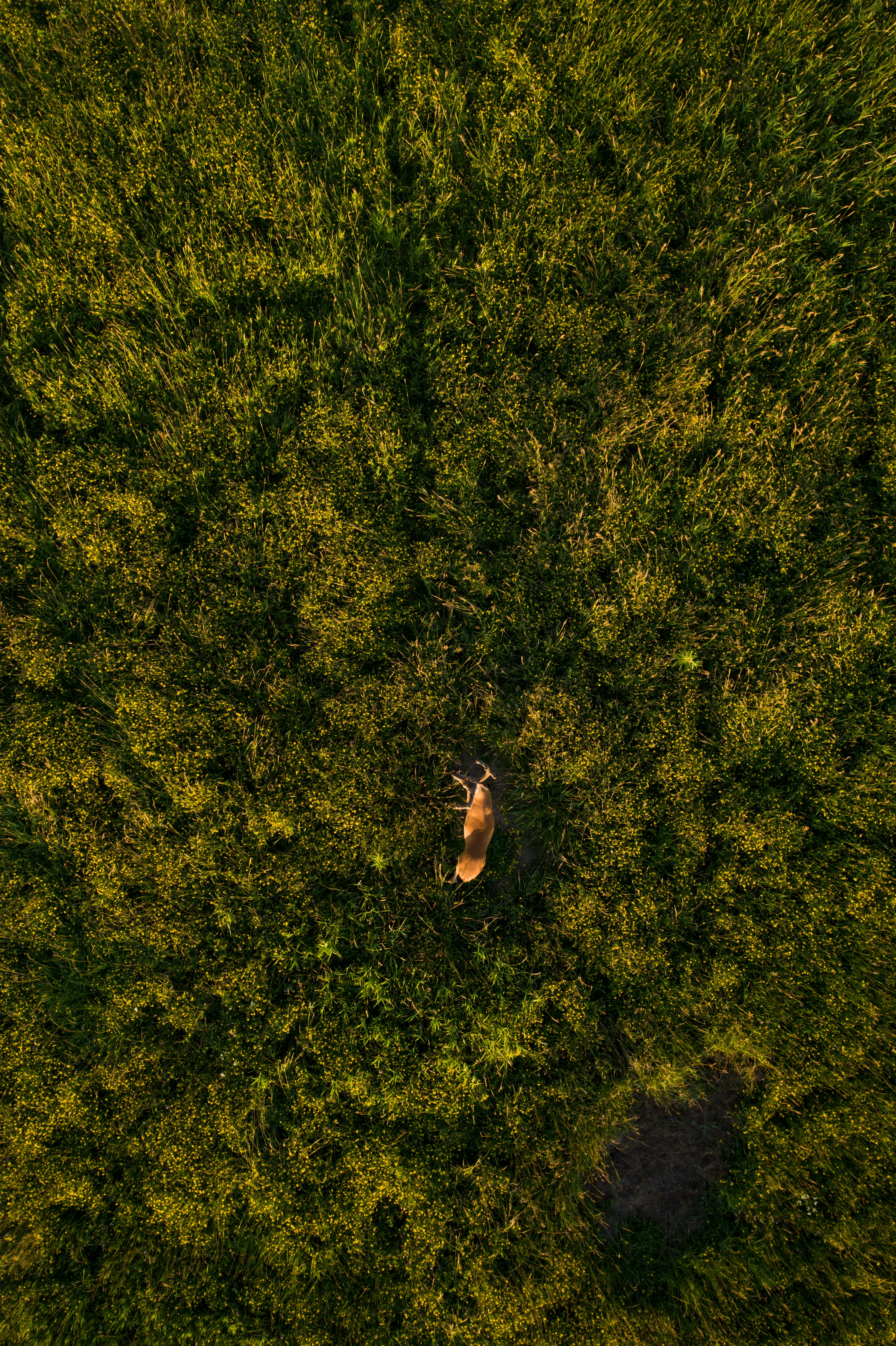 Photo by ________________1a