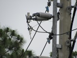A close-up view of an electrical power line infrastructure, featuring insulators and metal connectors attached to a vertical concrete or metal pole. The background includes partial views of tree branches with green foliage.