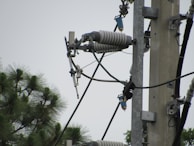 A close-up view of an electrical power line infrastructure, featuring insulators and metal connectors attached to a vertical concrete or metal pole. The background includes partial views of tree branches with green foliage.