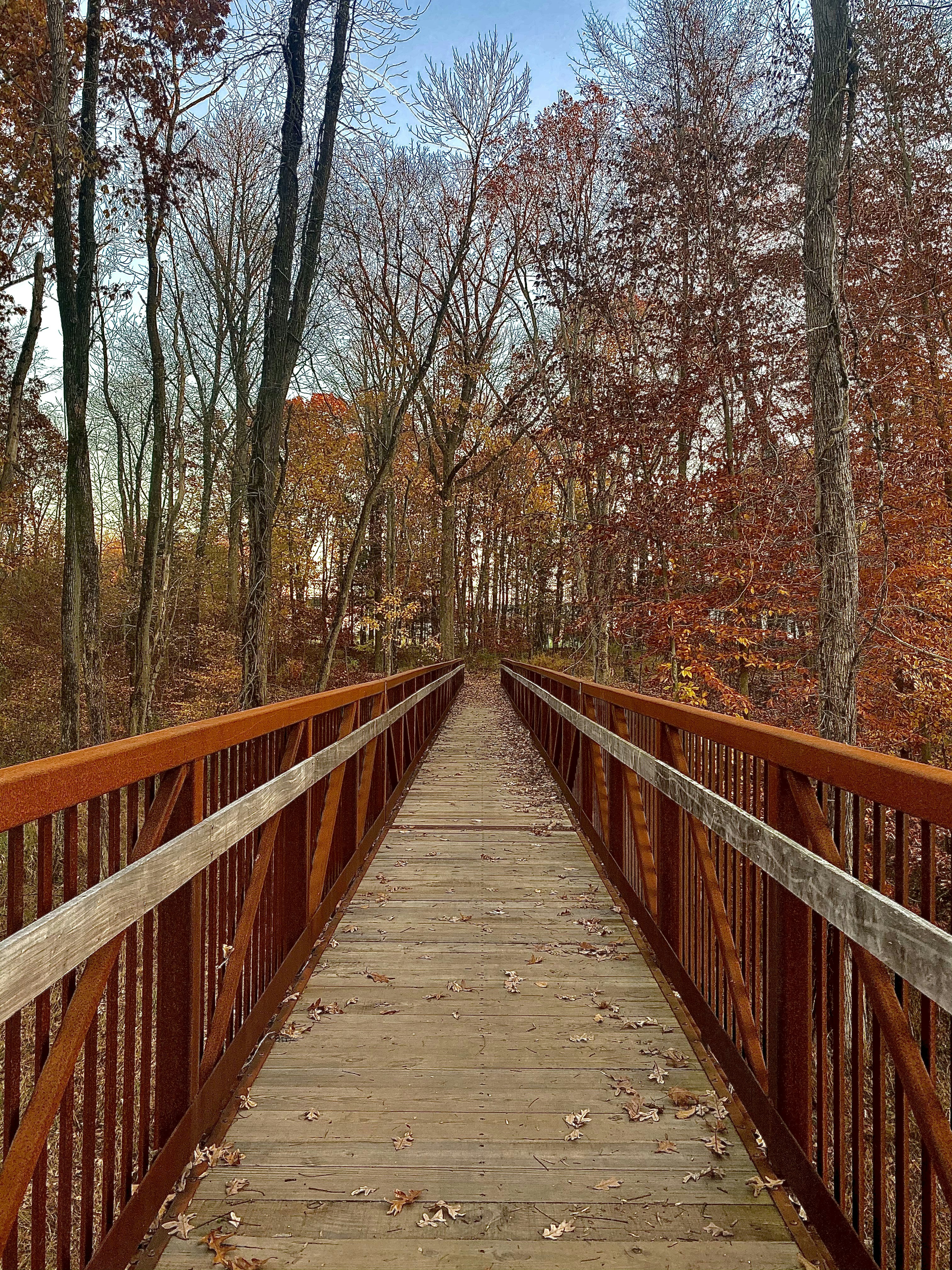 Photo by hgrover1904