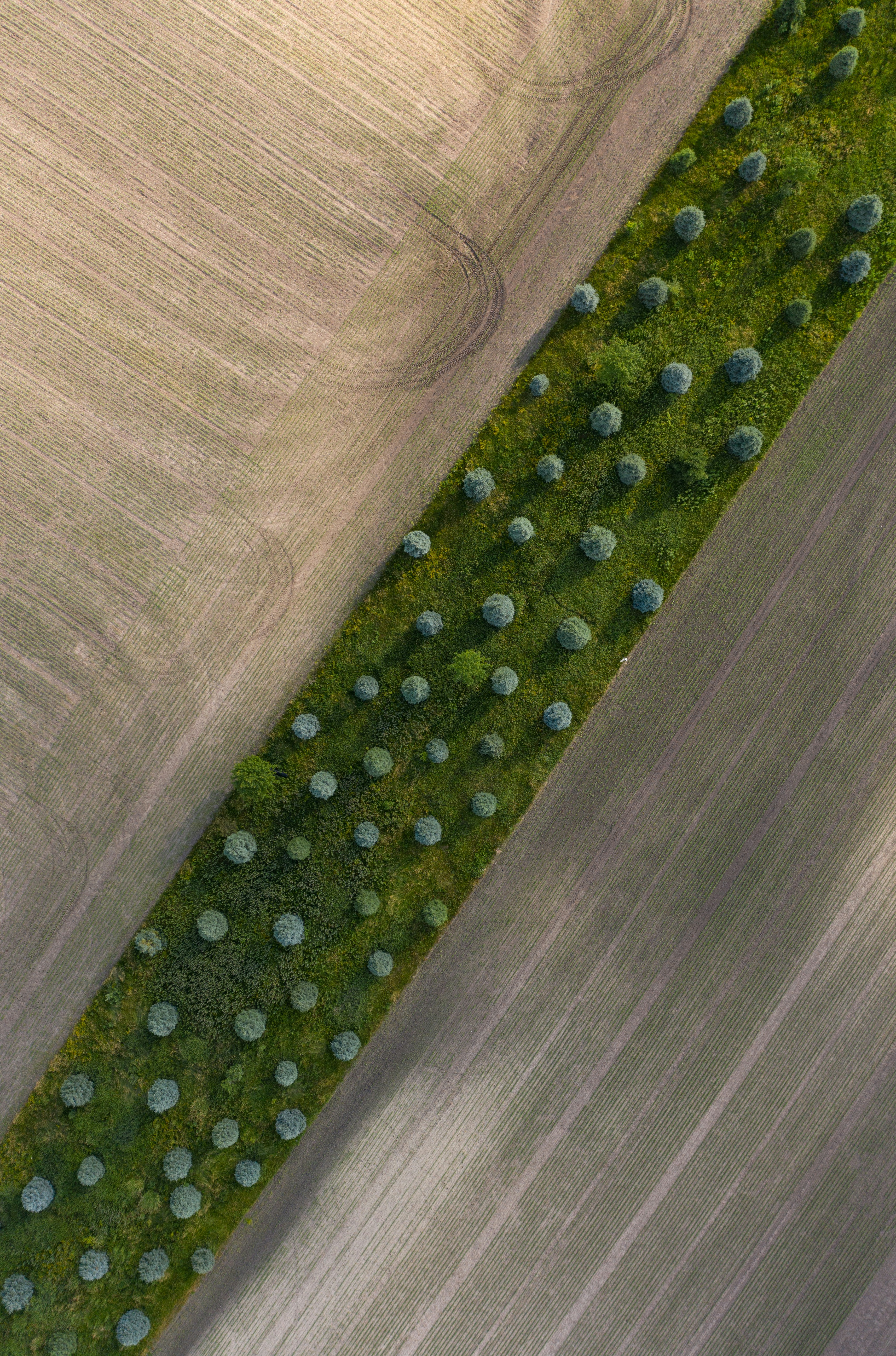 Photo by ________________1a