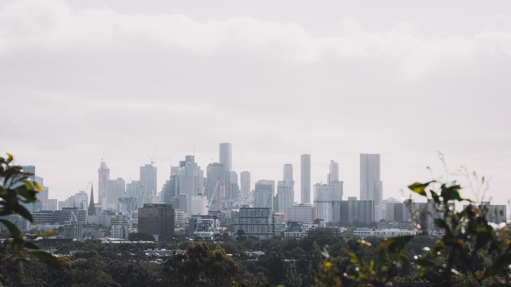 city skyline under white sky during daytime