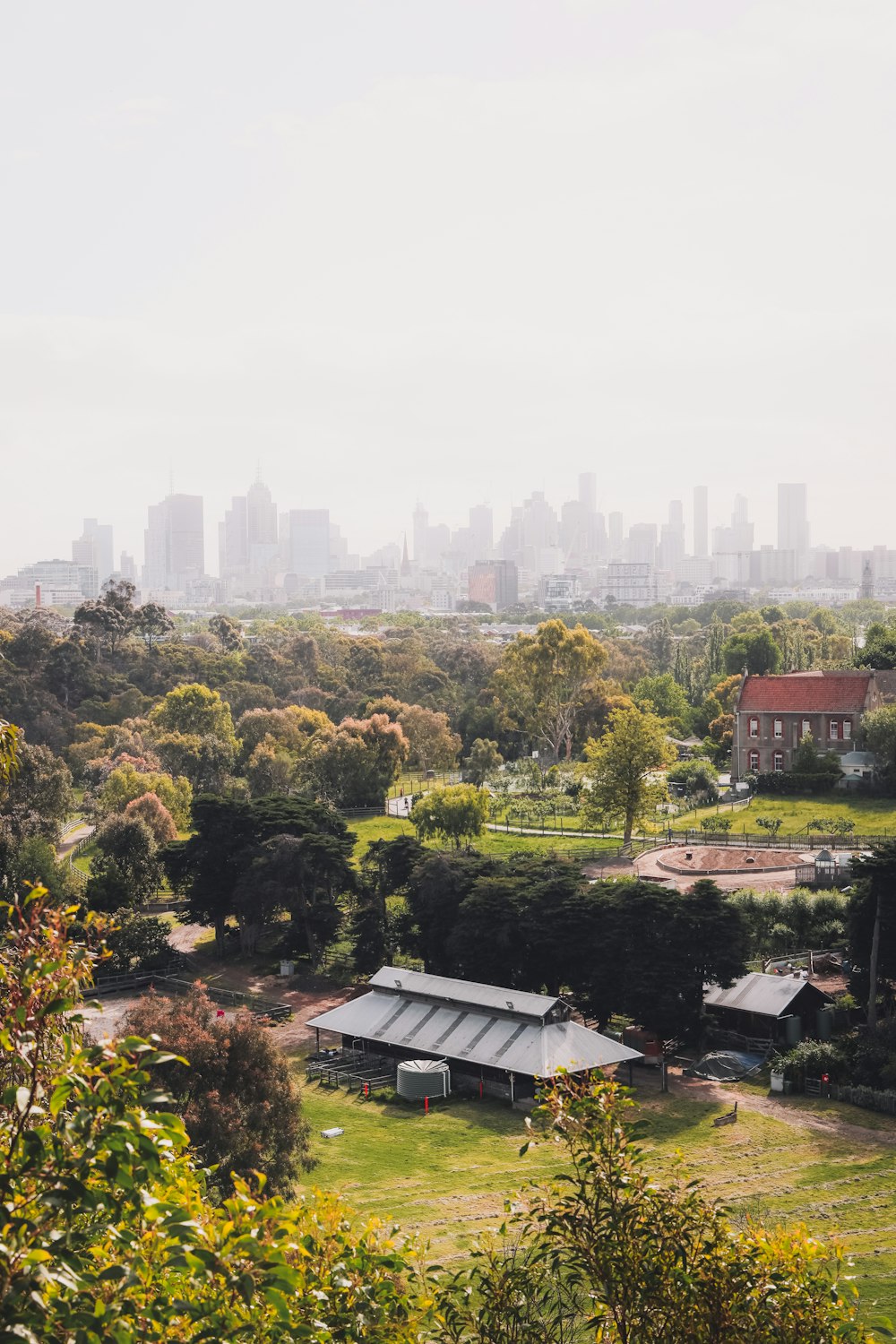 green trees and houses during daytime