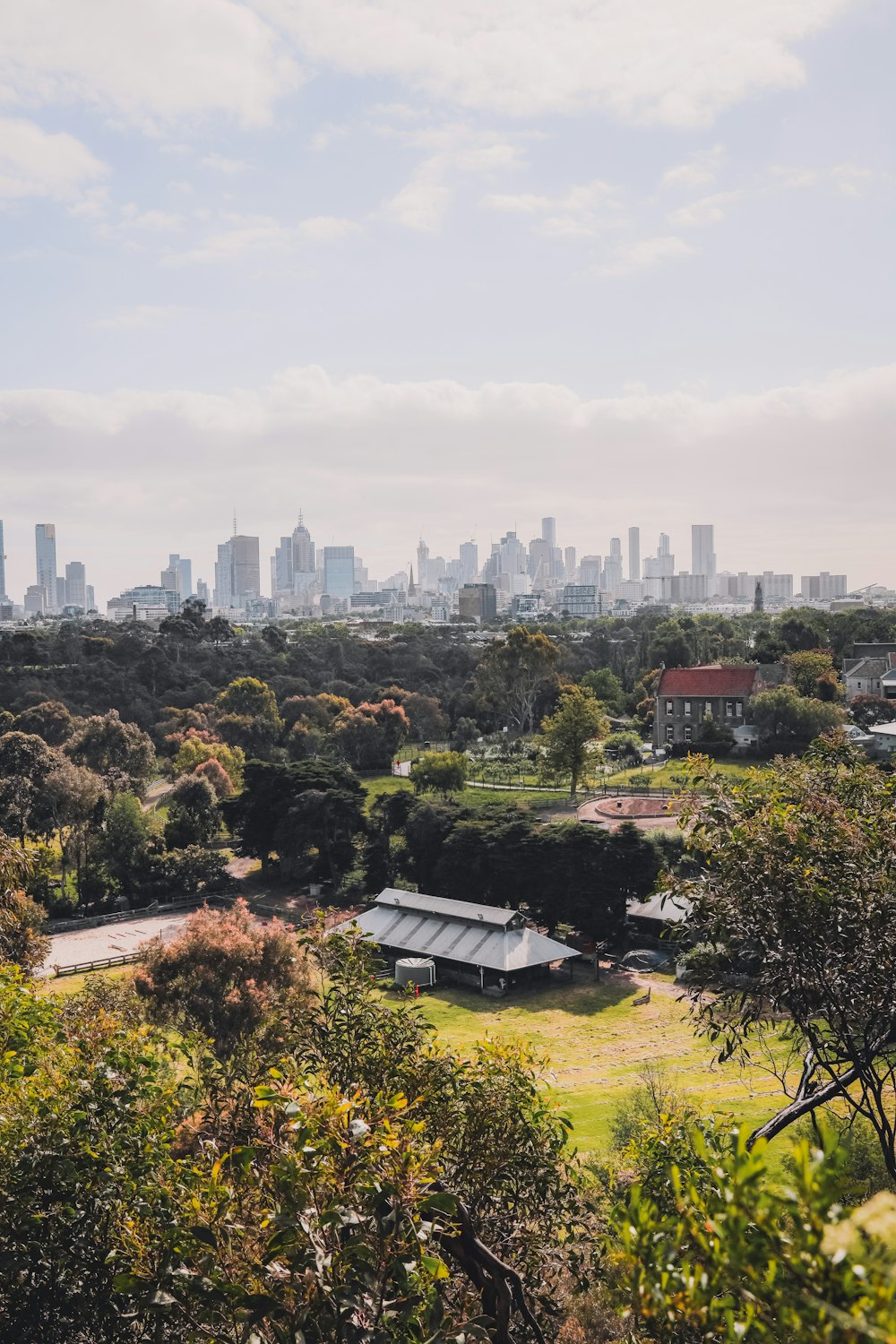 green trees and city buildings during daytime