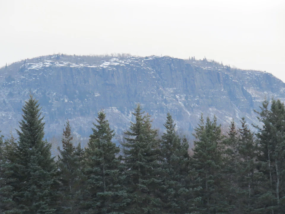 The image depicts a serene mountain landscape with a large, snow-covered peak dominating the scene. The mountain is covered in a thick layer of snow and stands tall against an overcast sky. In the foreground, there are several pine trees scattered across the frame, their green needles contrasting with the white snow on the mountain. The perspective of the image suggests it was taken from a lower vantage point, looking up at the majestic peak.