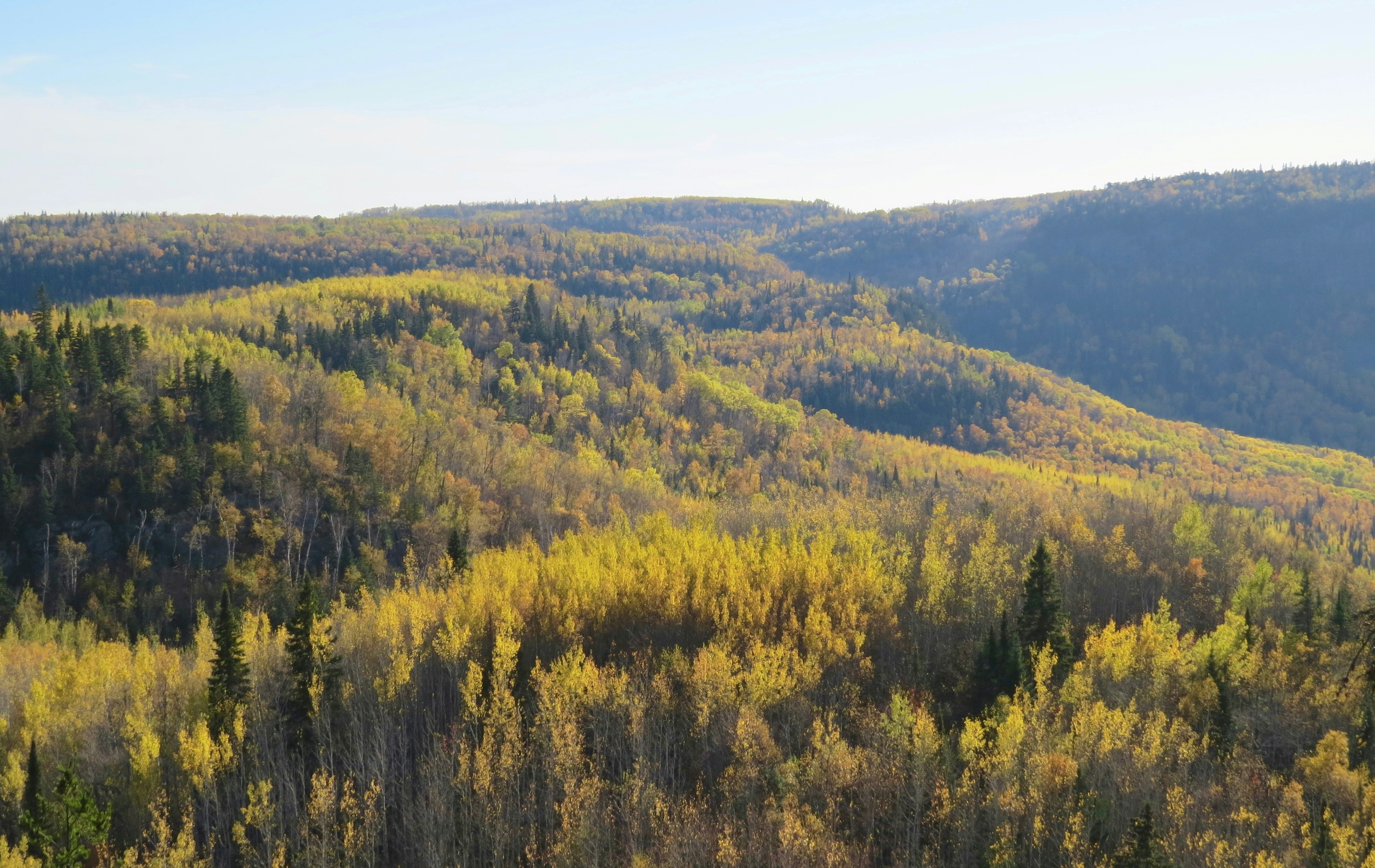 Photo by jaimedantas