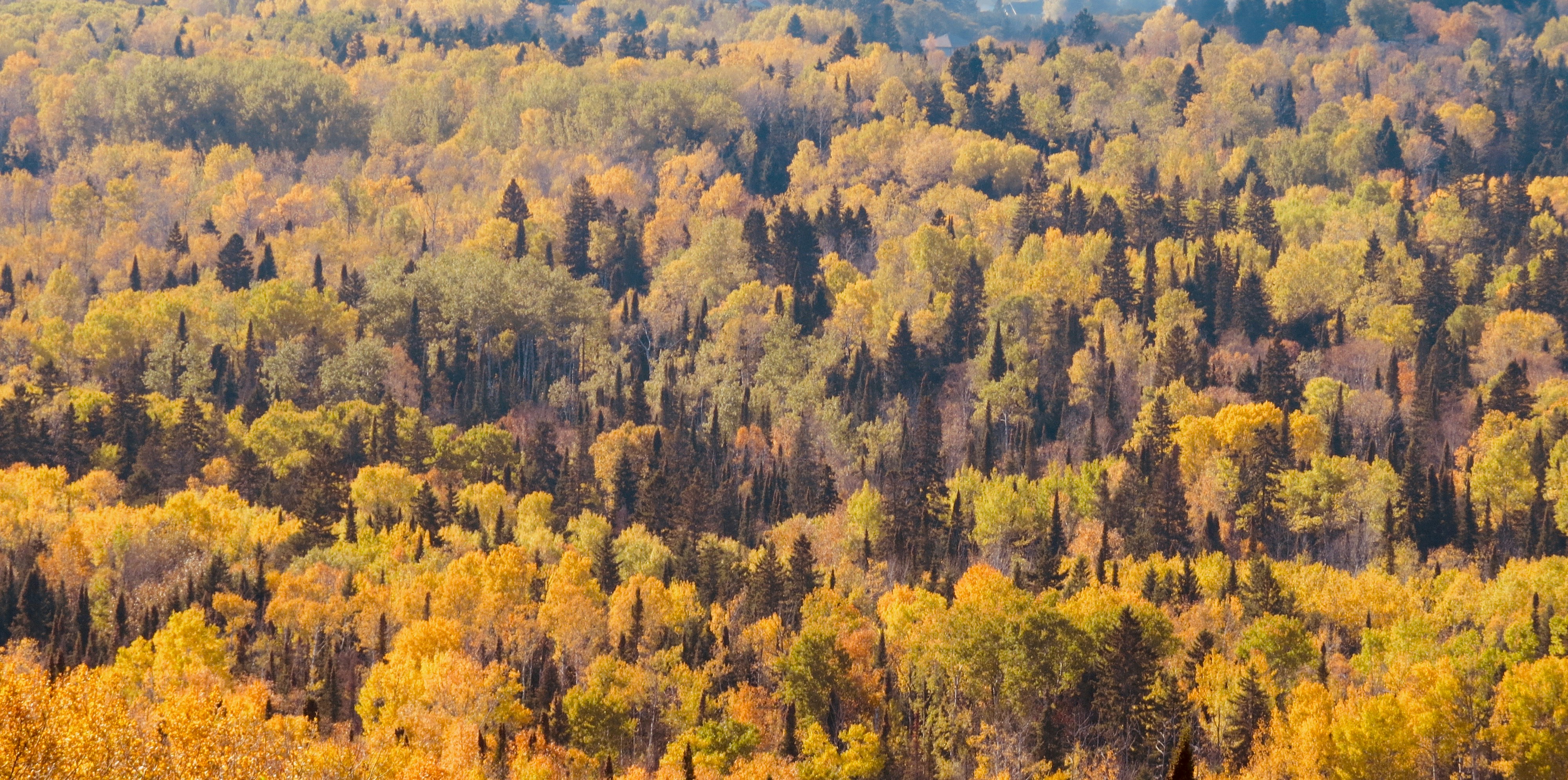 Photo by jaimedantas