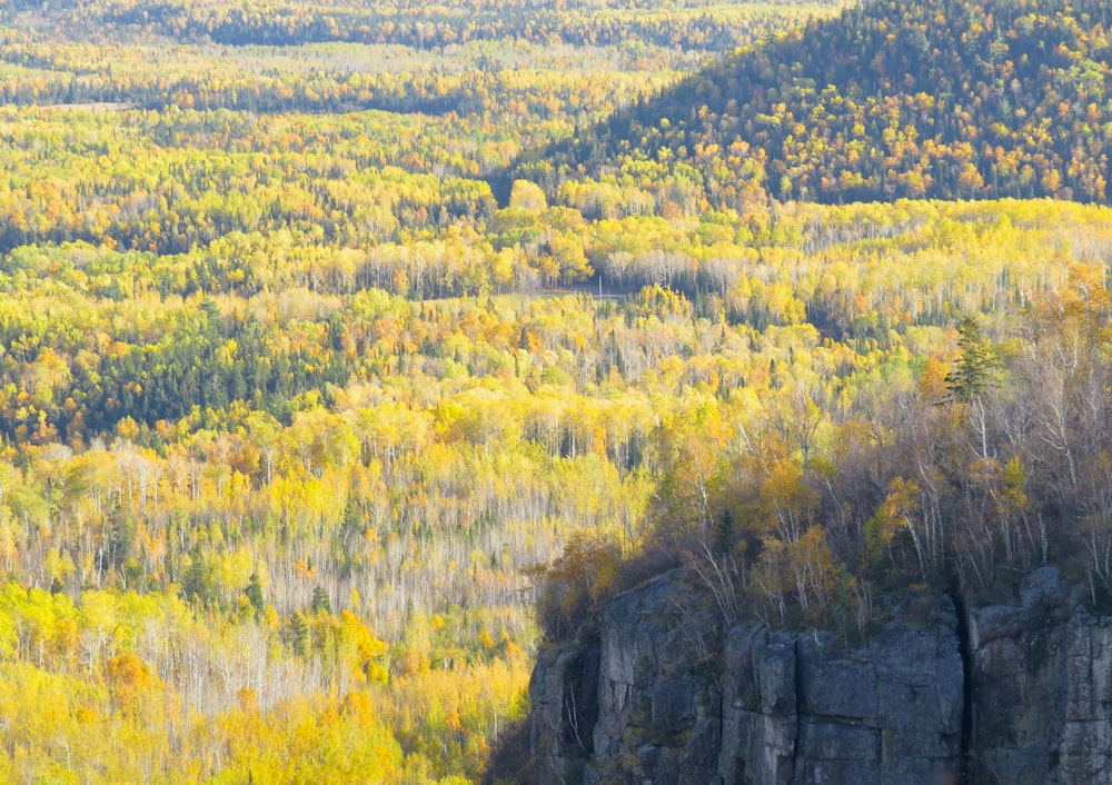 green grass field near gray rock formation during daytime