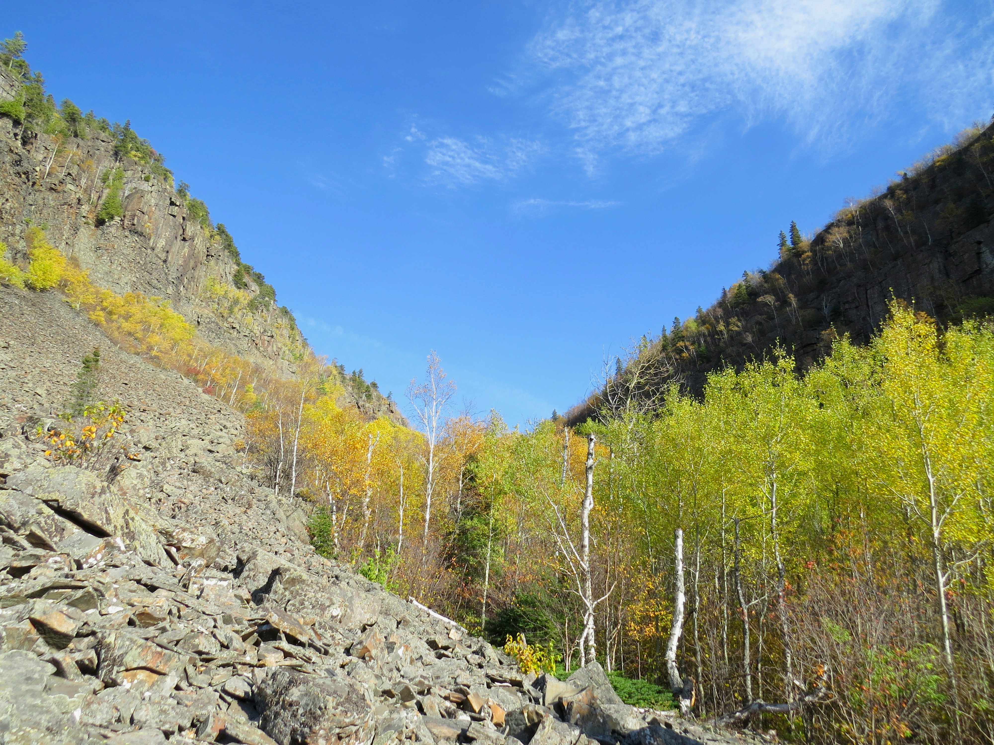 Photo by jaimedantas